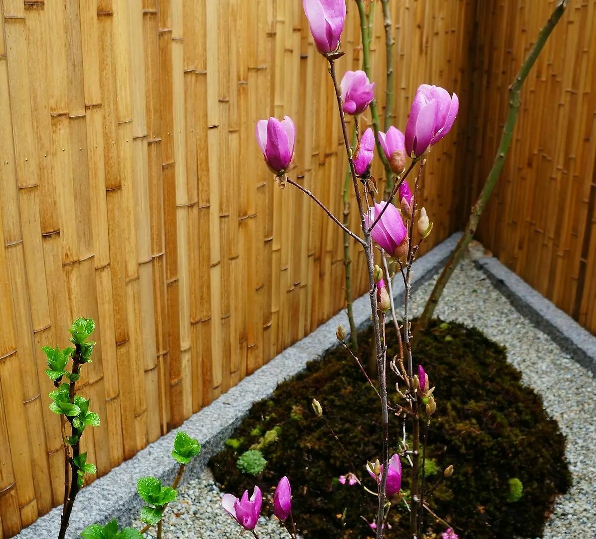 Mulan Hostel Киото Дом отдыха
